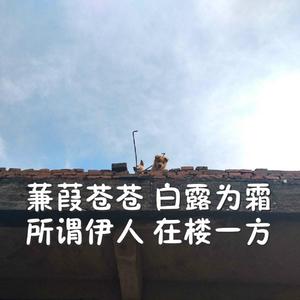 口暴双飞吞精免费视频
